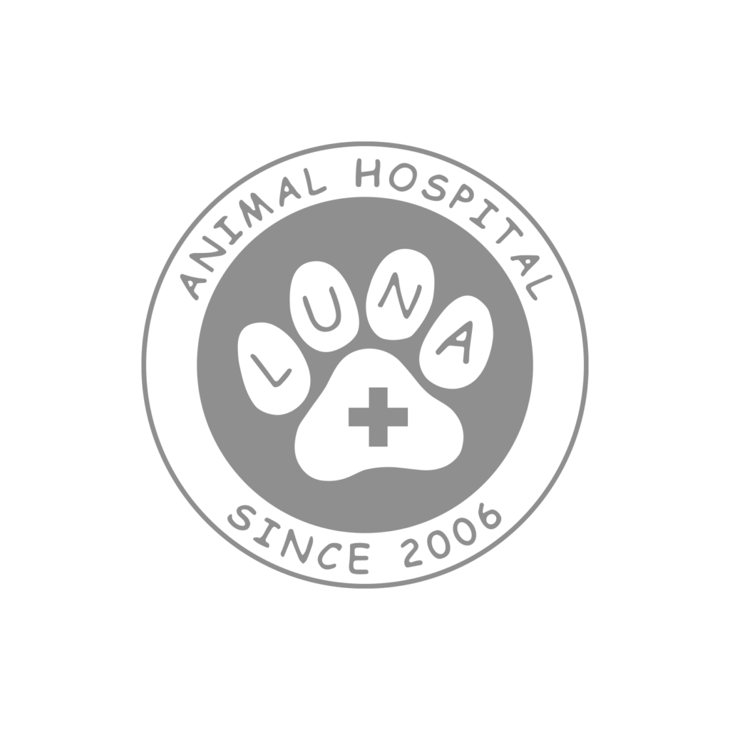 写真がなかった場合の画像