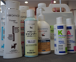 オプションシャンプー
